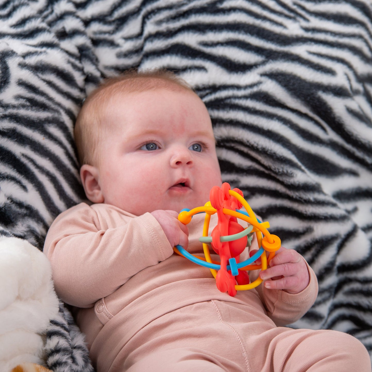 Baby holding colorful sensory teething toy on zebra print blanket